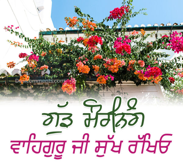 Best Shri Waheguru Good Morning Ji Image