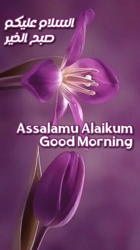 Good Morning Assalamualaikum Best Pic