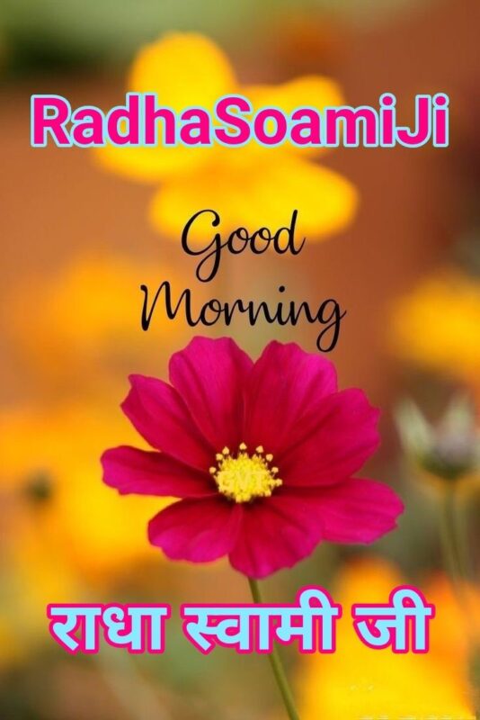 Good Morning Radhasoami Ji