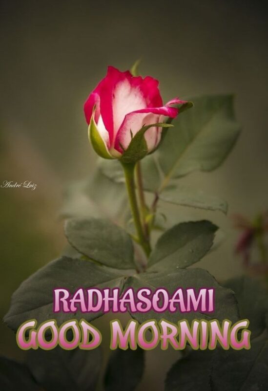 Good Morning Radhasoami Photo