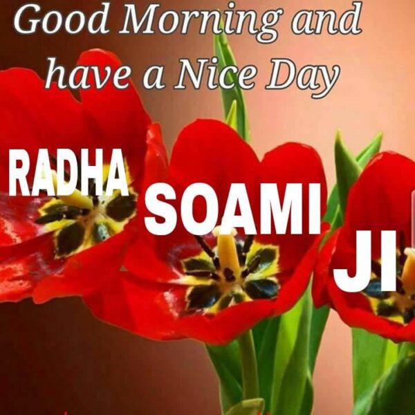 Radha Soami Good Morning Image