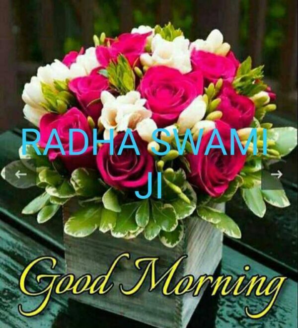 Radha Soami Good Morning Picture