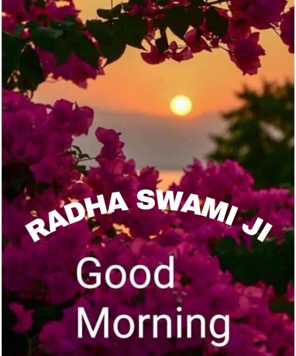 Radhasoami Good Morning Pic