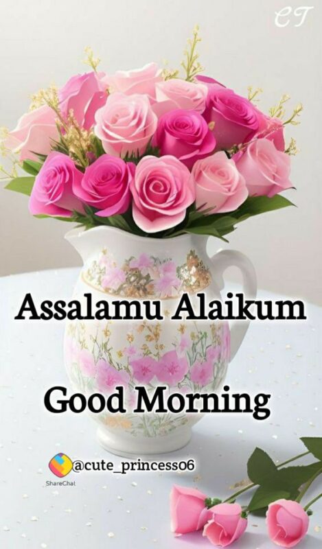 Wonderful Assalamualaikum Good Morning Image