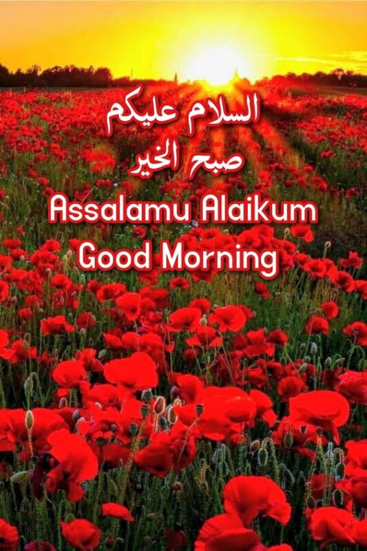 Wonderful Assalamualaikum Good Morning Photo