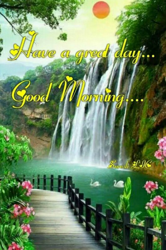 Have A Great Day Good Morning